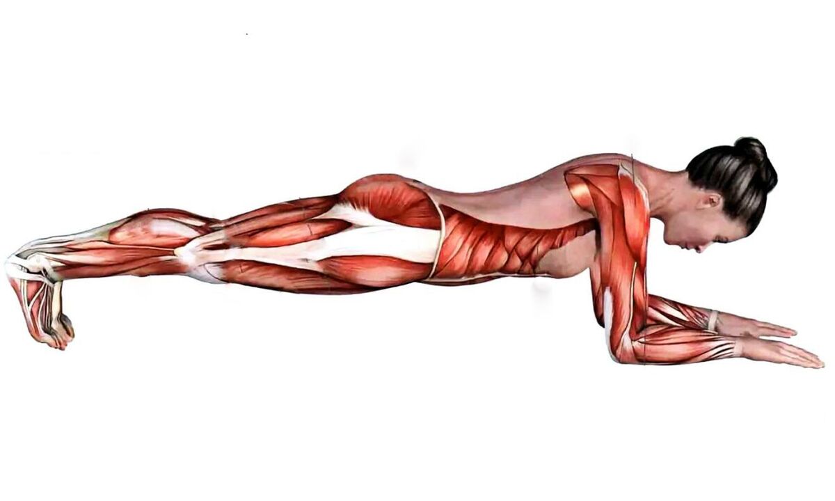 quais músculos trabalham na prancha
